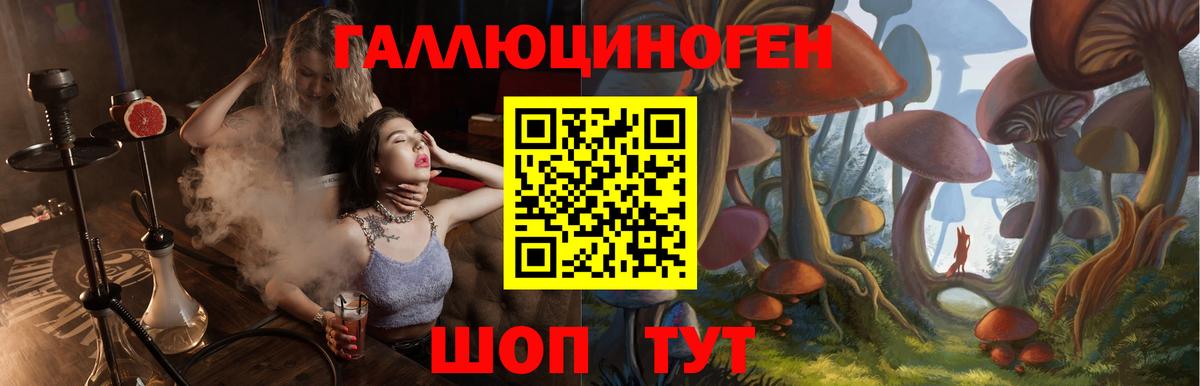 Галлюциногенные грибы прущие грибы Сочи