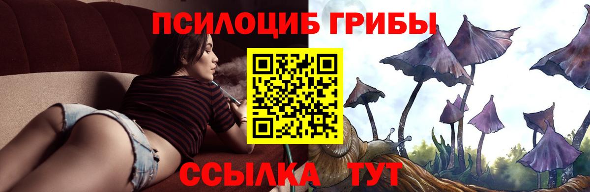 Псилоцибиновые грибы GOLDEN TEACHER  Вход с VPN  Сочи 